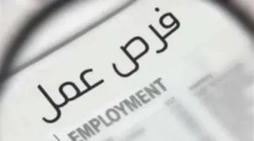 خريطة توزيع المحافظات.. رابط التقديم على الوظائف الحكومية الشاغرة بمختلف التخصصات في مصر 2026